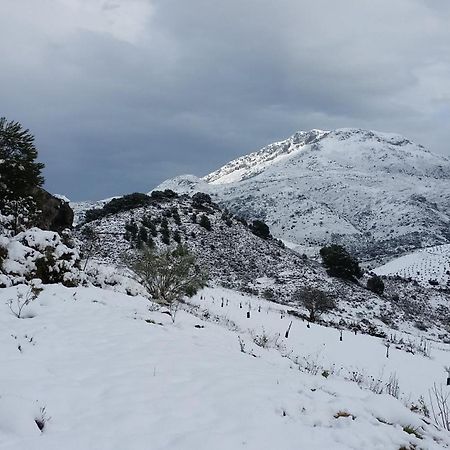 Yunquera Finca Las Morenas מראה חיצוני תמונה