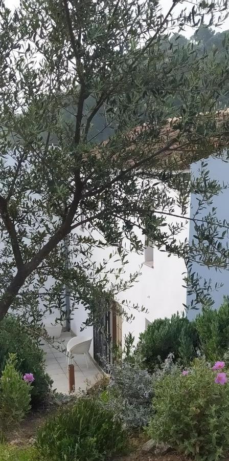 Yunquera Finca Las Morenas מראה חיצוני תמונה