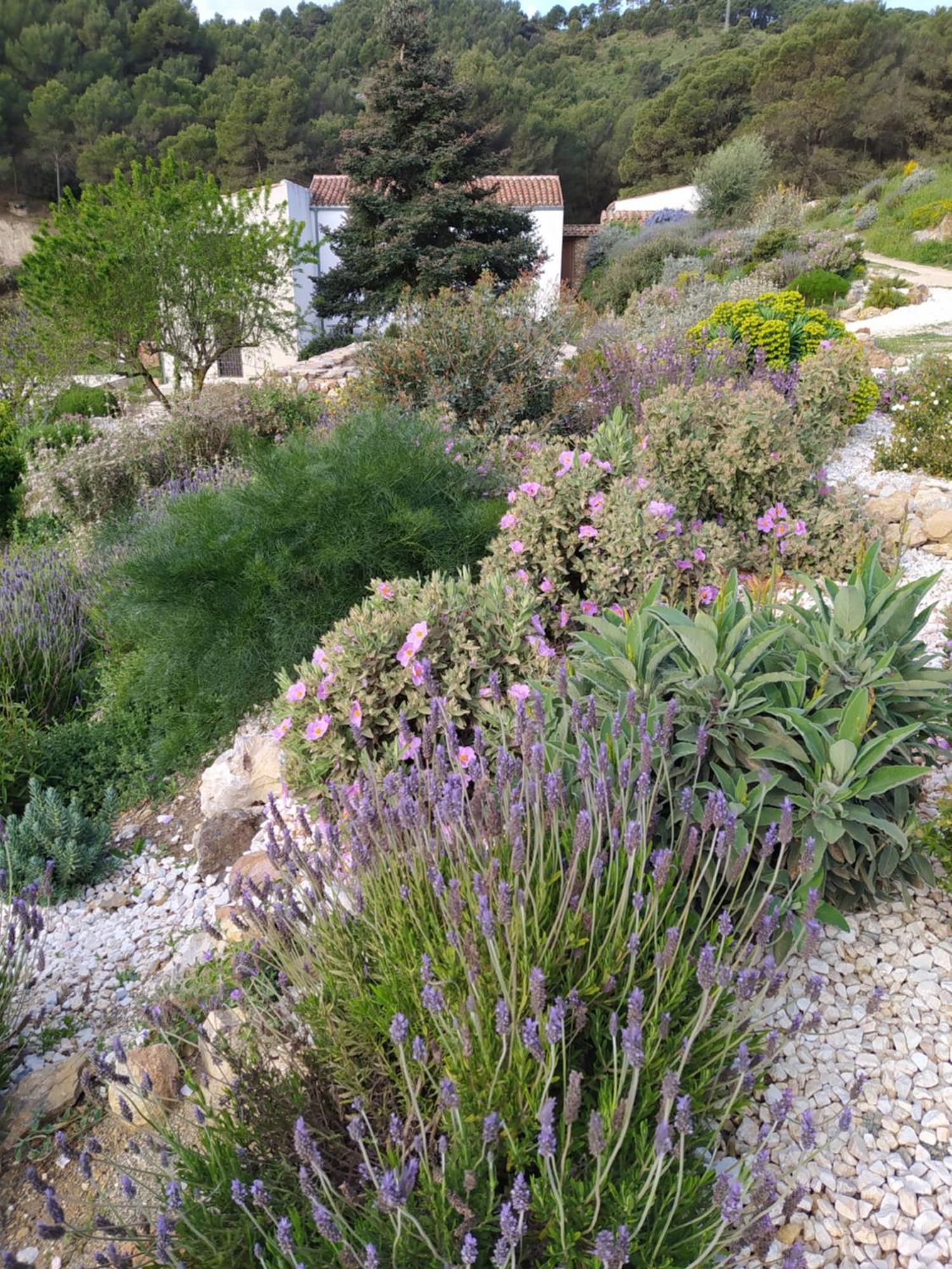 Yunquera Finca Las Morenas מראה חיצוני תמונה