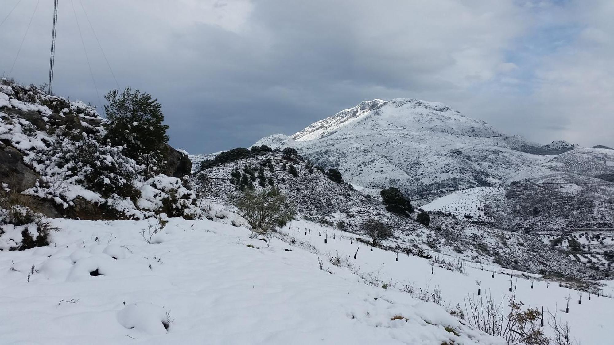 Yunquera Finca Las Morenas מראה חיצוני תמונה