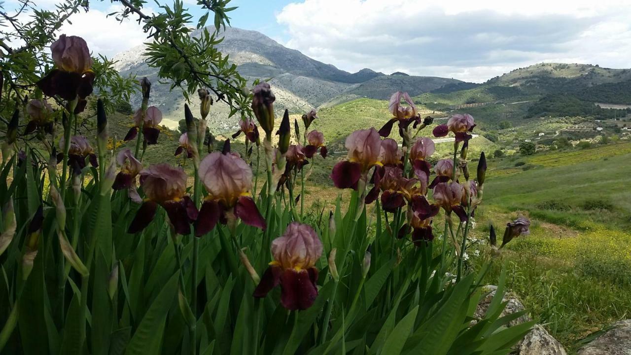 Yunquera Finca Las Morenas מראה חיצוני תמונה